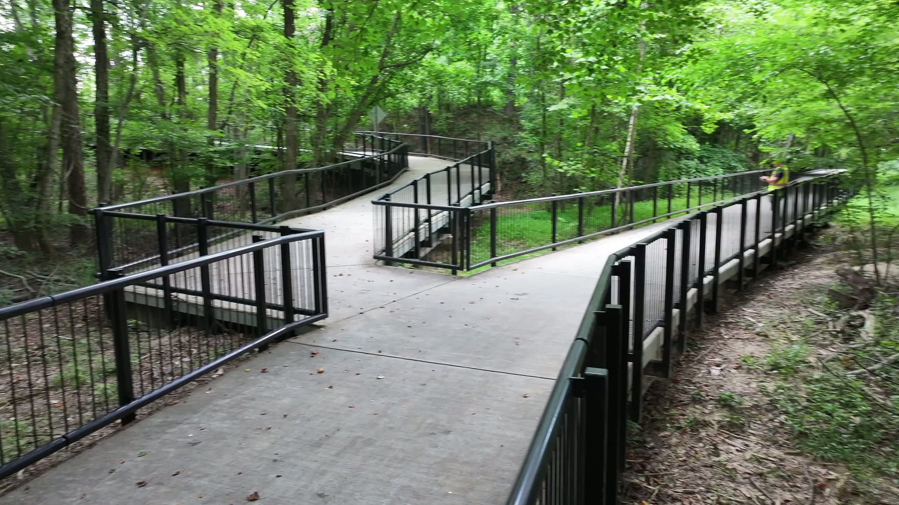 Boardwalk through trees at Big Creek Greenway